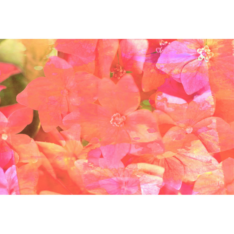 Joyful Summer II by Eva Bane - Wrapped Canvas Graphic Art, 20cm H x 30cm W, Wrapped Canvas