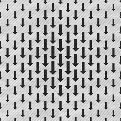 Indoor Rug