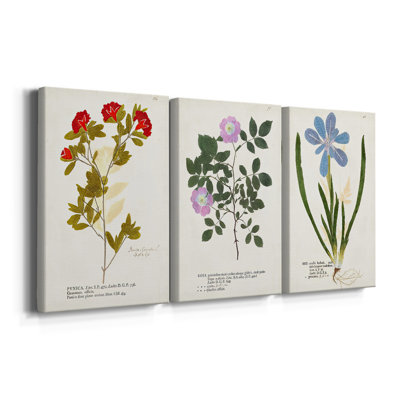 Nature imprimé Botanicals VIII - toile tendue sur mesure - 3 pièces