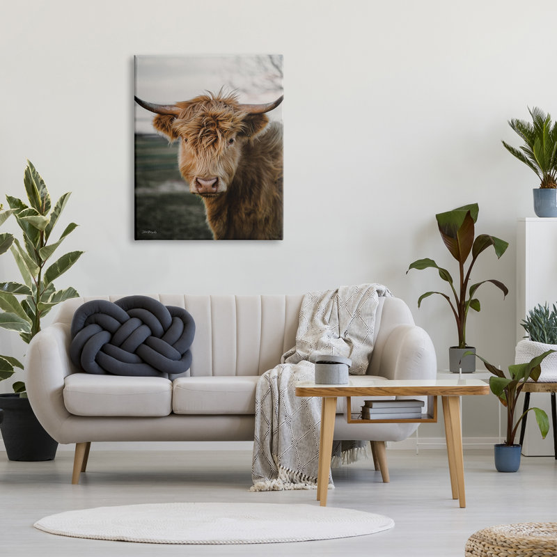Highland Cow, photographie sur toile par Dakota Diener, H 40 po x l 30 po x P 1,5 po