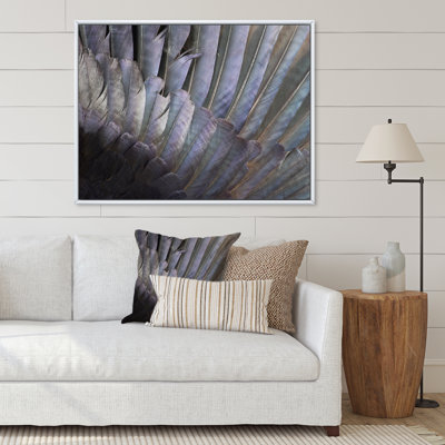 Plumes noires et blanches - Photographie sur toile