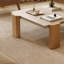 Table basse au design minimaliste et de niche-1406220533-1406220530