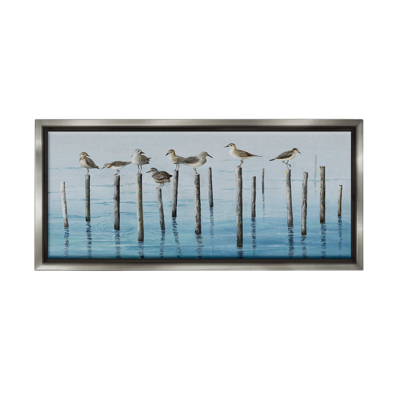 "Cadre perché d'oiseaux de mer flottants" par Max Maxx sur toile, Cadre flottant gris lustré, H 14 po x l 31 po
