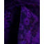 Overdyed One-of-a-Kind 3' 1" X 5' 2" Hand Knotted Area Rug