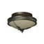 Hoja 2 - Light Semi Flush Mount