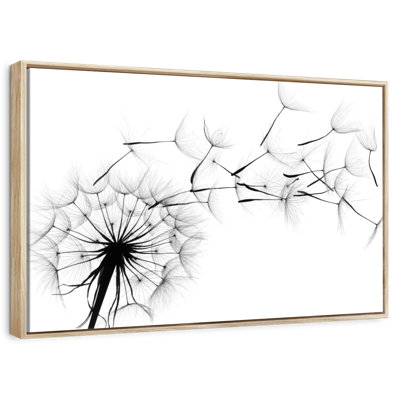 Flying Dandelion