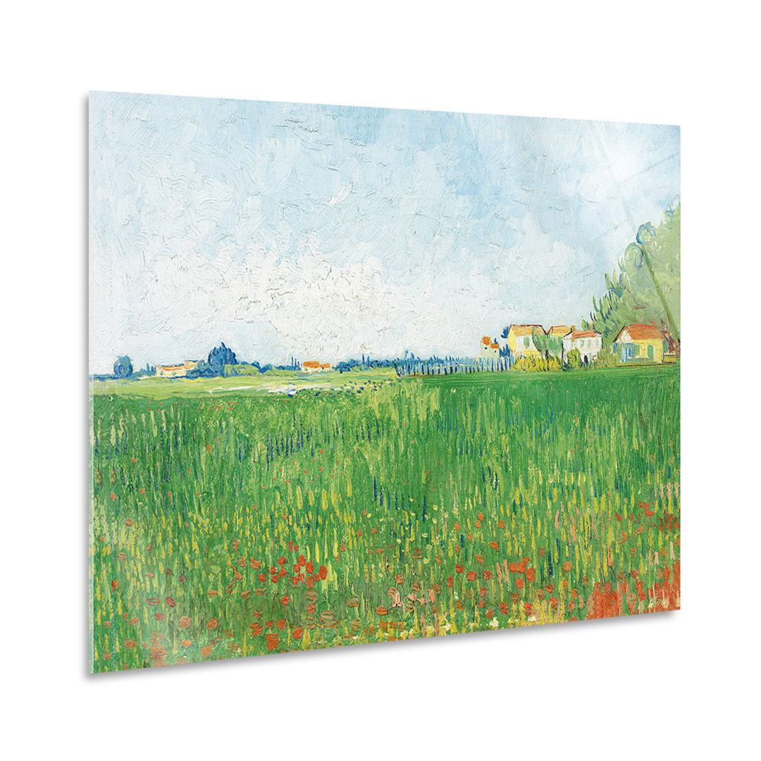 Glasbild Feld mit Mohnblumen von Vincent Van Gogh