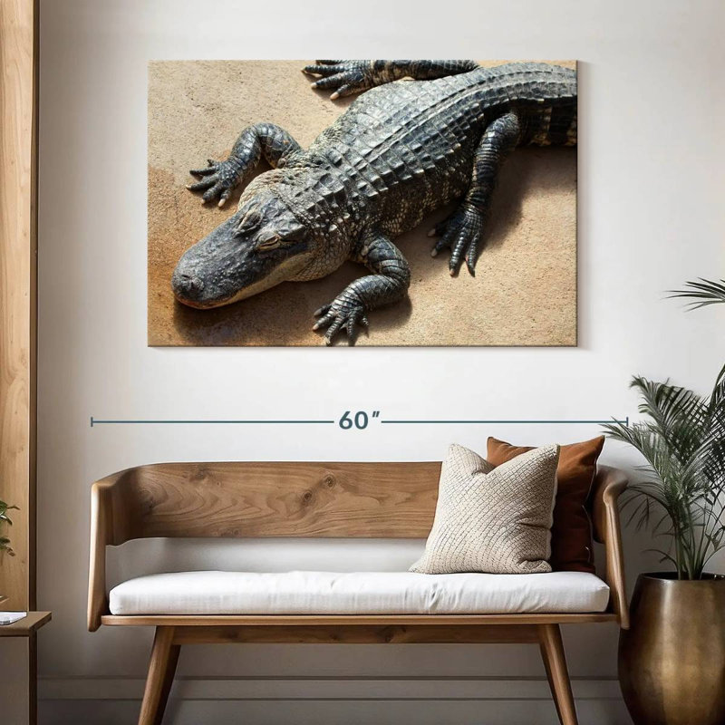 Alligator, 32" H x 48" W