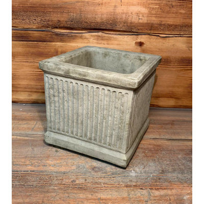 Ameerah Plant Pot