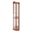Vitrine d'angle vitrée avec vitrine d'angle lumineuse, vitrine avec lumière (incluse), armoire à vin, étagère à vin avec tablettes en verre réglables, décoration en chêne sculpté (inclus)