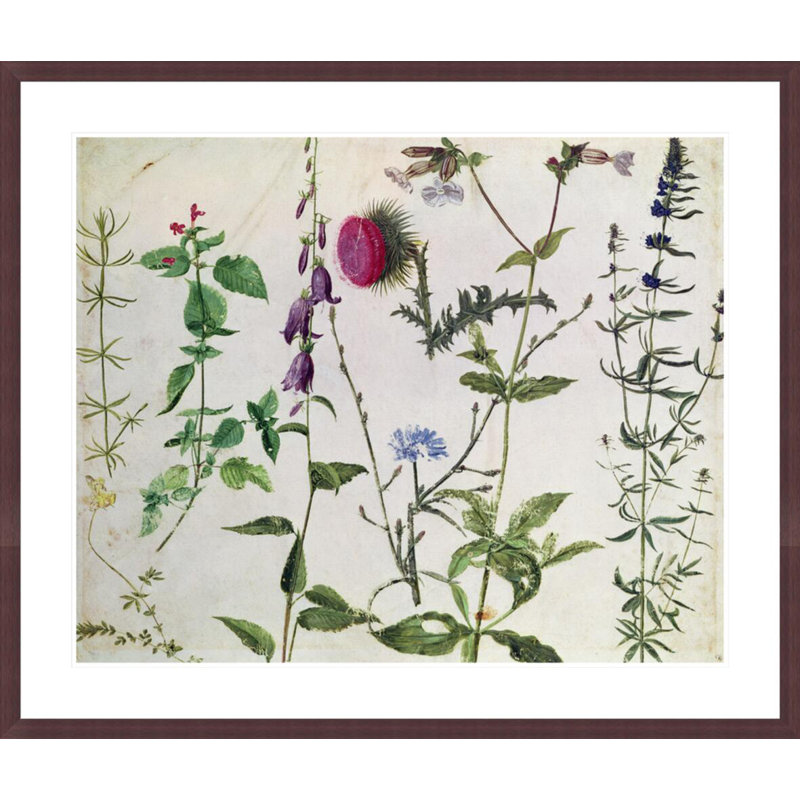 «Huit études de fleurs sauvages» par Albrecht Dürer, impression giclée sur cadre, H 33,5 po x l 39,55 po