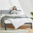 Upholstered Metal Platform Bed-484488255-482291430