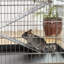 Cage pour petits animaux Bressler