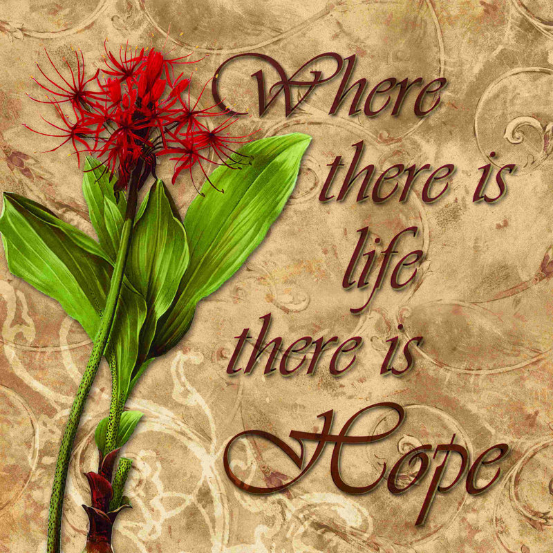 " Life Hope ", 20" H x 20" W