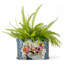 Garden Trellis Scalloped Porcelain Basin