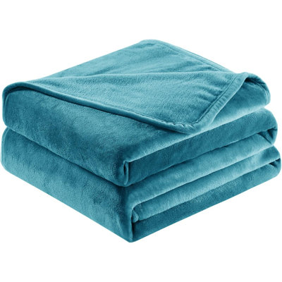 Abiram Plain Weave / Muslin Throw Blanket