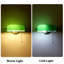 Glass Wall Sconce