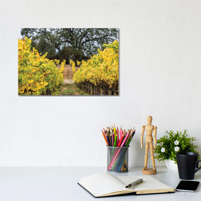 Autumn Vineyard by Heather Roberson - Wrapped Canvas Print