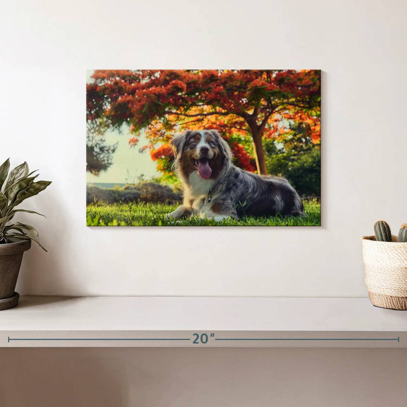 Cherry Border Collie, 8" H x 12" W