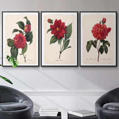 Red Botanical I, ensemble de 3 toiles encadrées sur toile