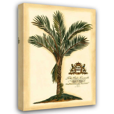 Bay Isle Home™ Vision Studio Gallery Wrapped Canvas Art Titled: British Colonial Palm IV