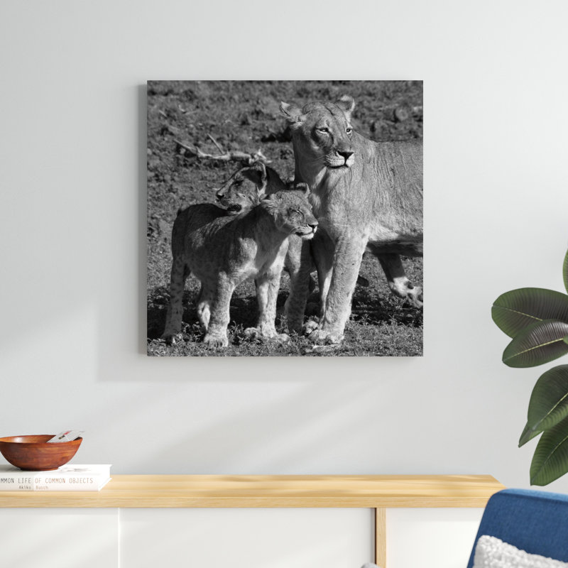 Lionne et oursons, H 30 po x l 30 po