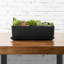 Pot Planter