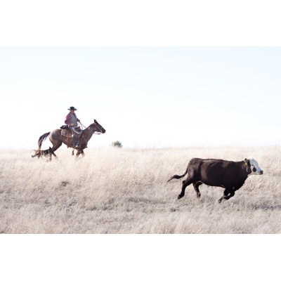 «Cowboy Herding Angus» sur Day Range