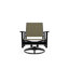 Wexler Outdoor Swivel Lounge Chair-1099678815-1102391103
