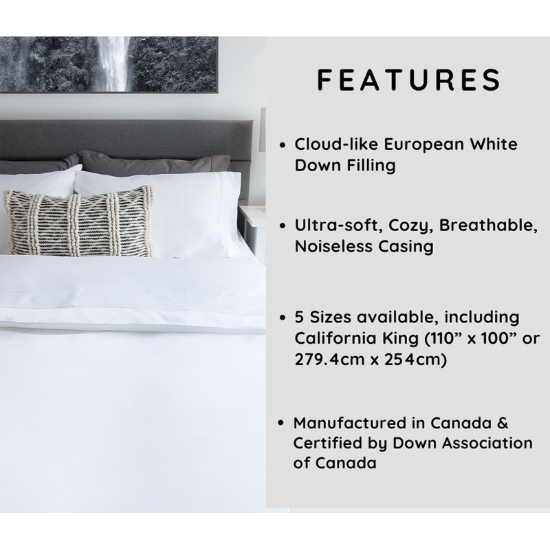 Limoges Duck All Season Down Comforter, Queen