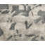 Himalayan One-of-a-Kind 4'9" X 7'8" Area Rug