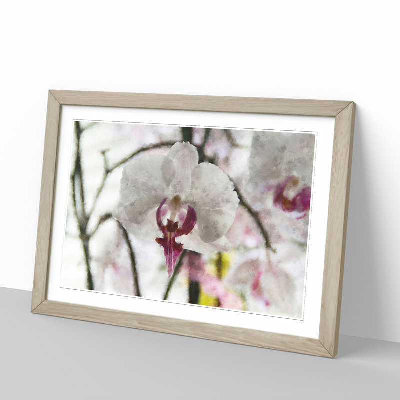 Orchid Flowers Vol.4 - Framed Print, 27cm H x 36cm W x 2cm D, Oak Framed