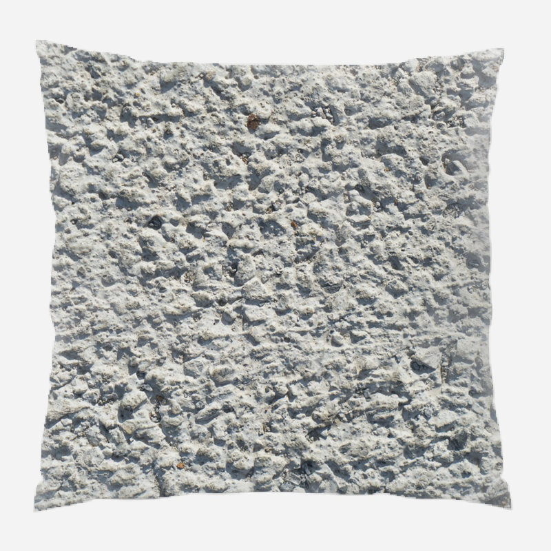 Coussin décoratif
