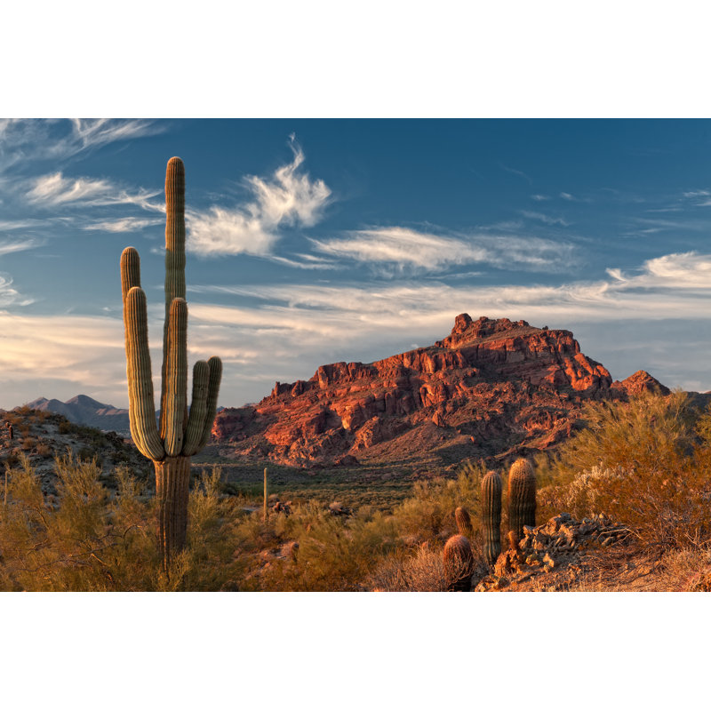 Red Mountain And Saguaro Cactus - Wrapped Canvas Print, 30cm H x 46cm W x 3.8cm D