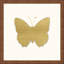 Gold Leaf Butterfly 1' Framed Graphic Art Print on Glass