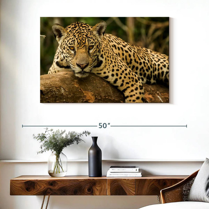Intense Jaguar Gaze, 26" H x 39" W