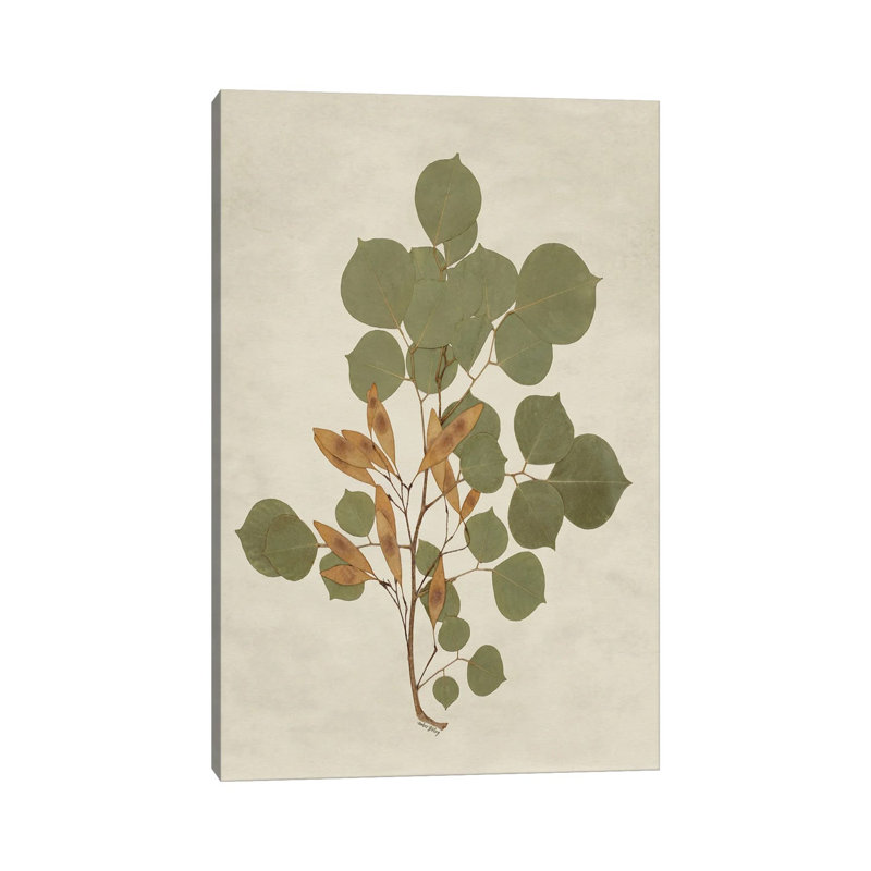 Botanical Leaves III, 152.4 cm H x 101.6 cm W x 3.175 cm D, Does Not Apply