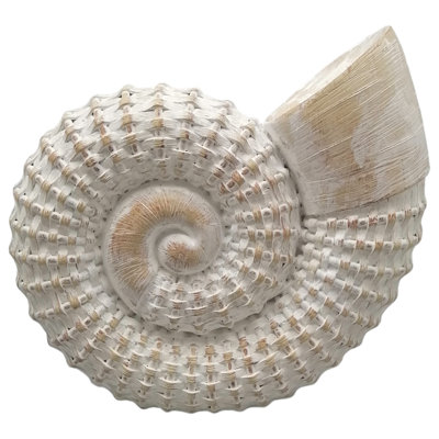 Trish Ceramic Shell Sculpture