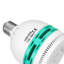 Ampoule fluorescente compacte intégrée (5500k)
