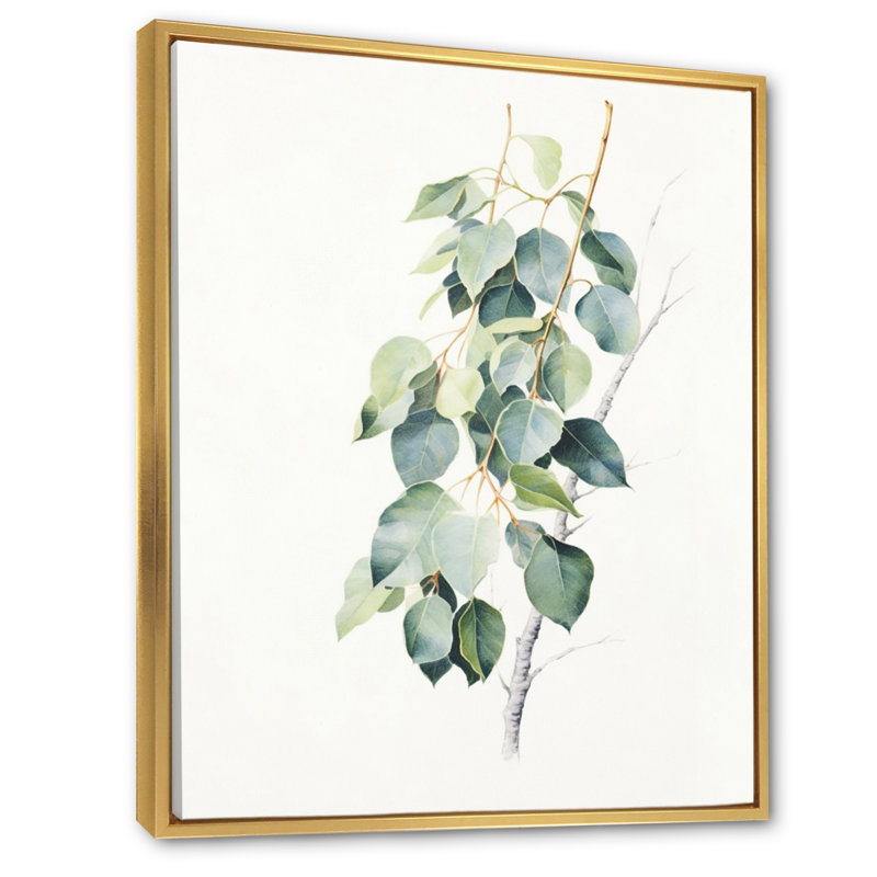 Vert, blanc, minimalisme, eucalyptus Essence II - impression, Cadre flottant doré, H 32 po x l 16 po x P 1,5 po