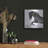 " Zalso " by Susan Friedman-1441751251