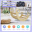 3-en-1 MONTESSORITODDLERS Arch Climber (bois naturel)
