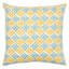 Schumacher x Molly Mahon Pattee & Luna Pillow-64099014