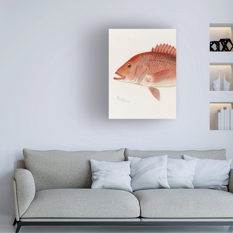 Art sur toile «bol, Sherman F. Denton Red Snapper», H 19 po x l 14 po
