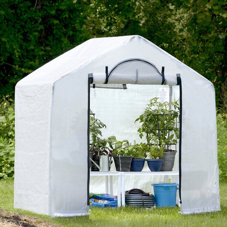 ShelterLogic GrowIt Backyard Ft. W x Ft. D Mini Greenhouse  Reviews  Wayfair