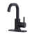 Oil Rubbed Bronze