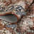 Oriental Machine Washable Rug Non-Slip Area Rug Vintage Design Rug Durable Floor Carpet Easy-Cleaning Rug-1511665146