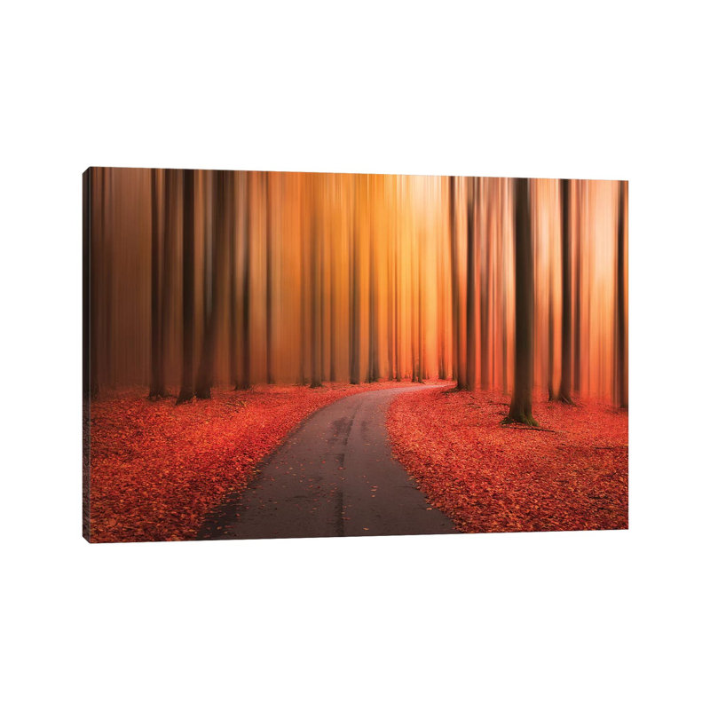 Path To Unknown by Christian Lindsten - Wrapped Canvas Print, 20.32 cm H x 30.48 cm W