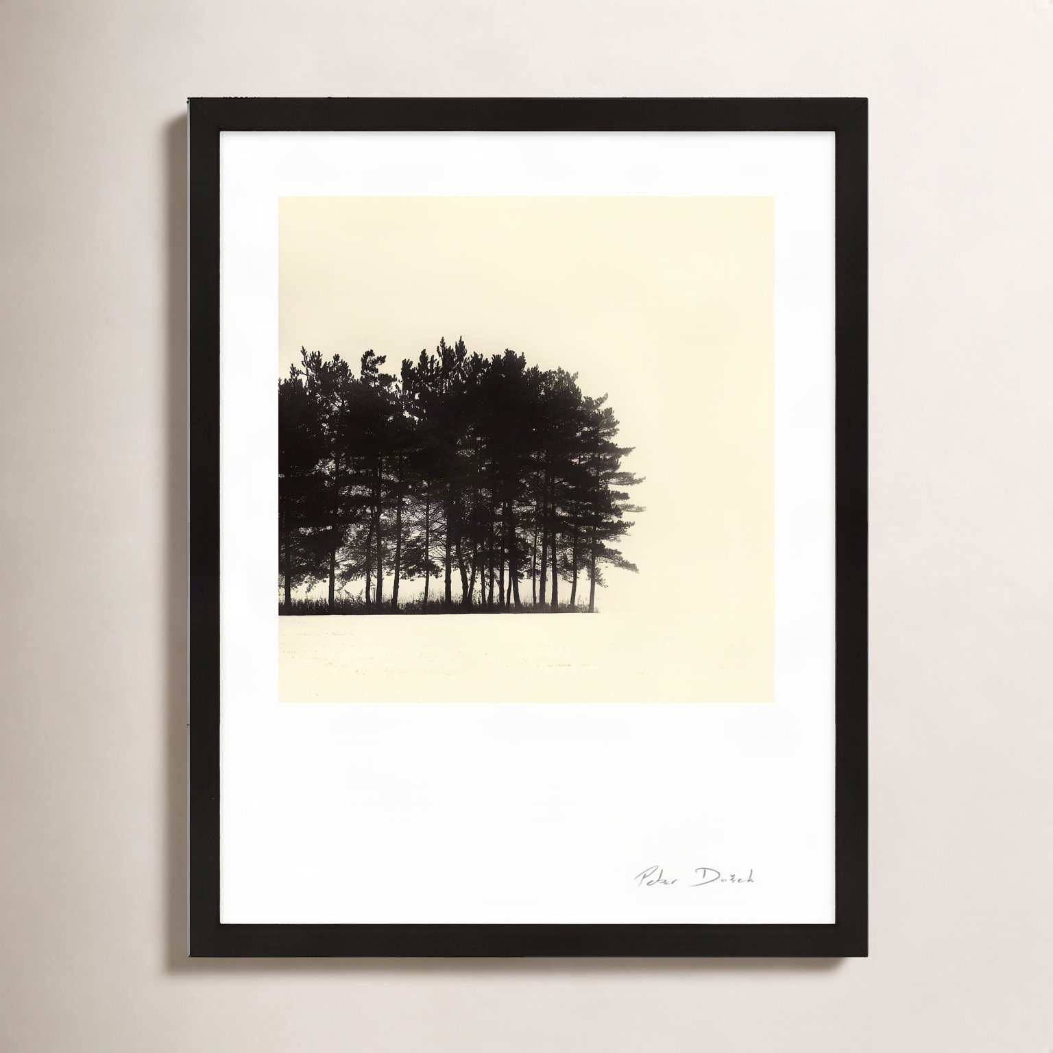 Garden Sign "Copse" Print by Peter Dušek, 25" H x 20" W x 1.25" D, Black
