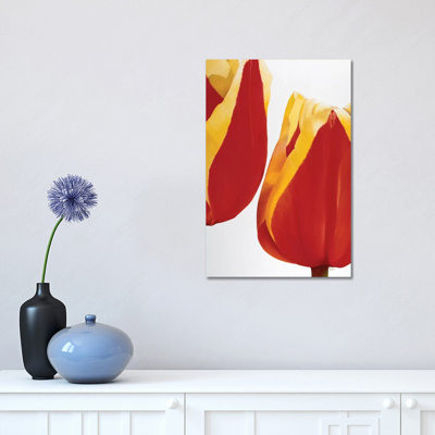 Stay There! 1 Piece Wrapped Canvas Wall Art